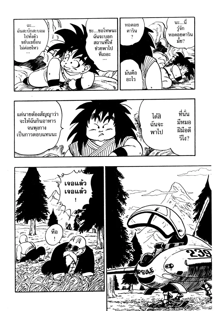 Dragon Ball - หน้า 13