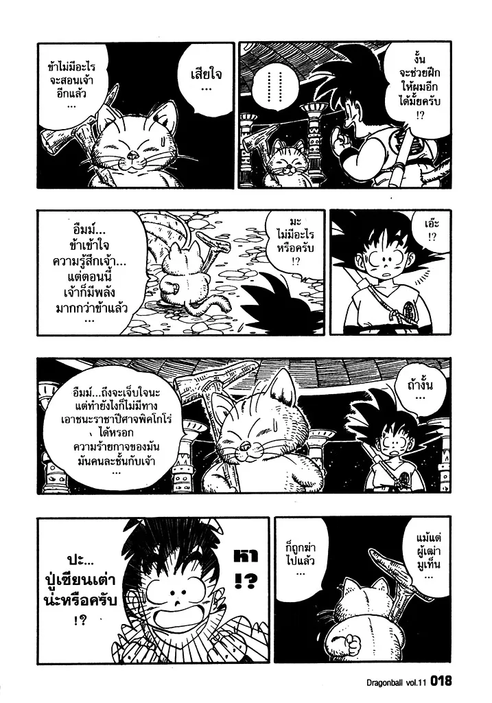 Dragon Ball - หน้า 13