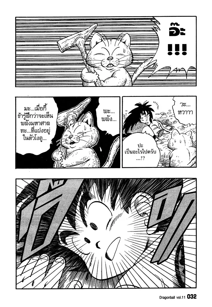 Dragon Ball - หน้า 13