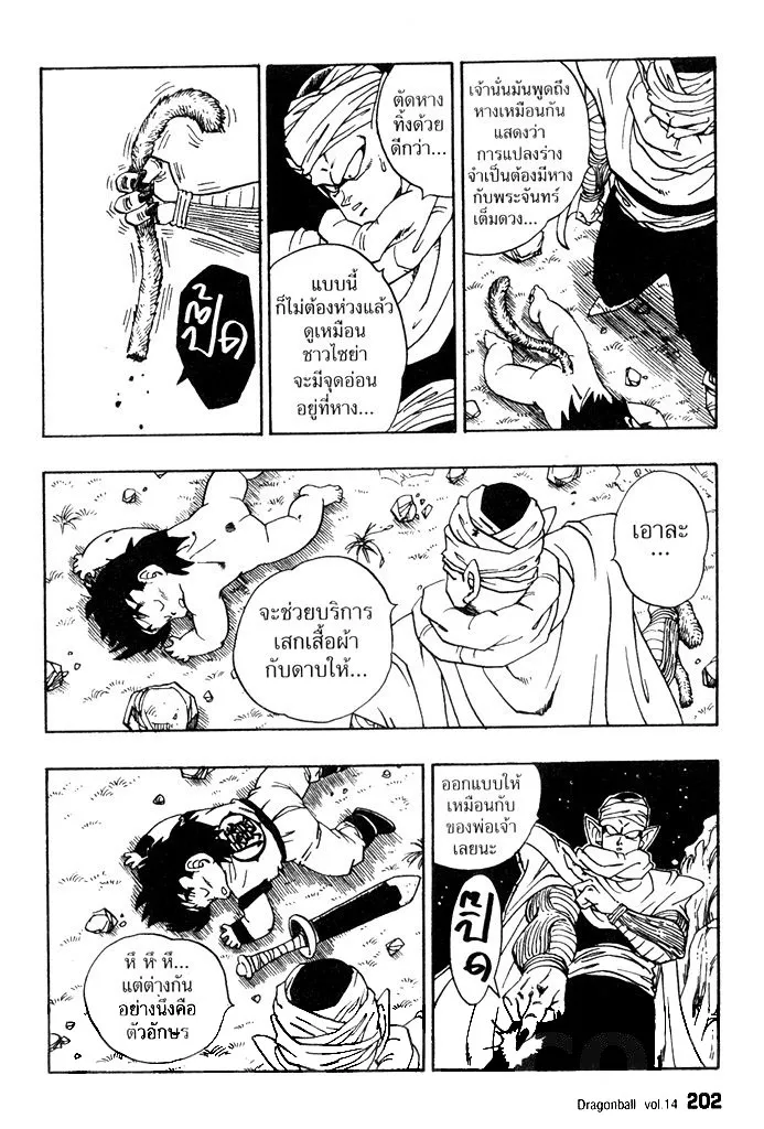 Dragon Ball - หน้า 13