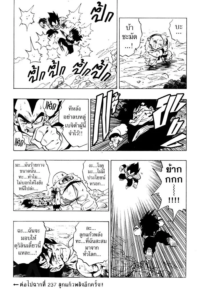 Dragon Ball - หน้า 14