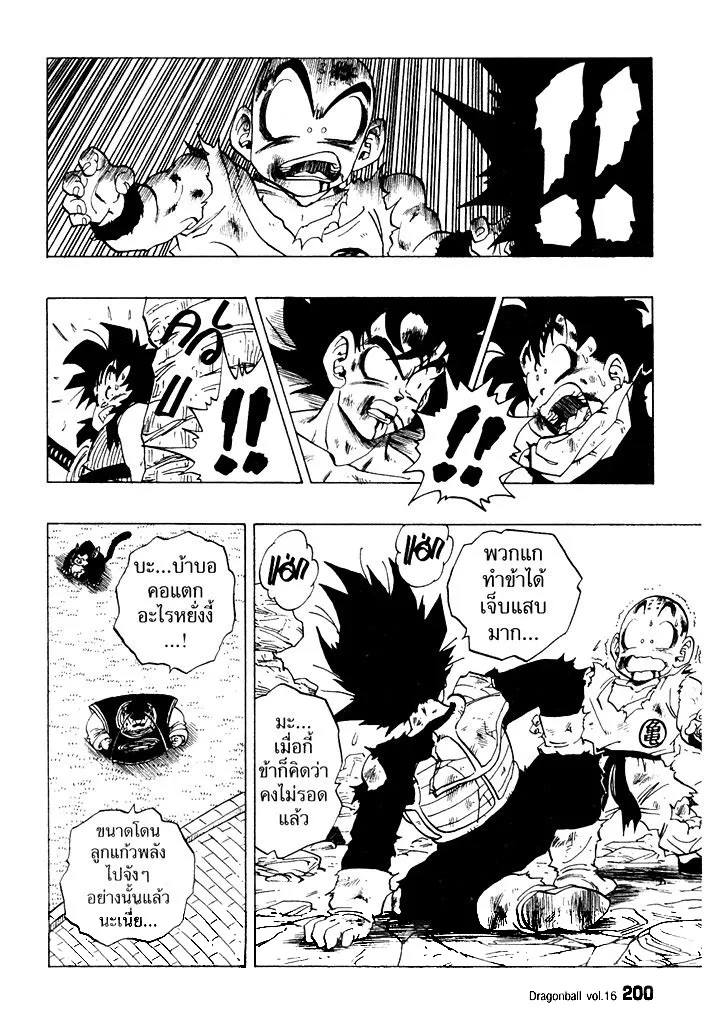 Dragon Ball - หน้า 13