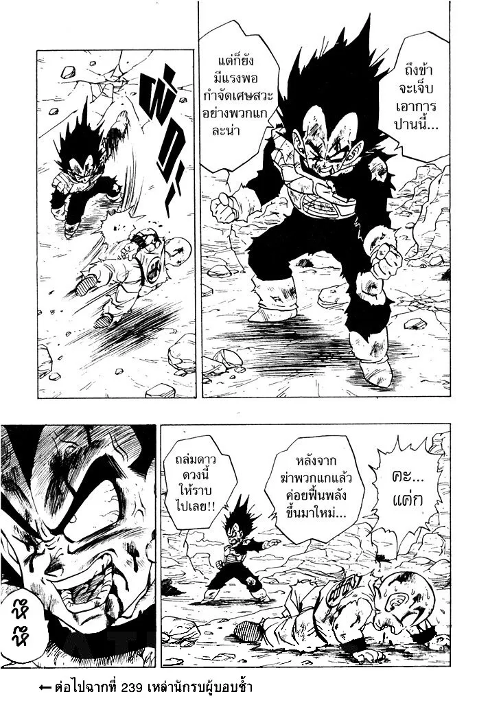 Dragon Ball - หน้า 14