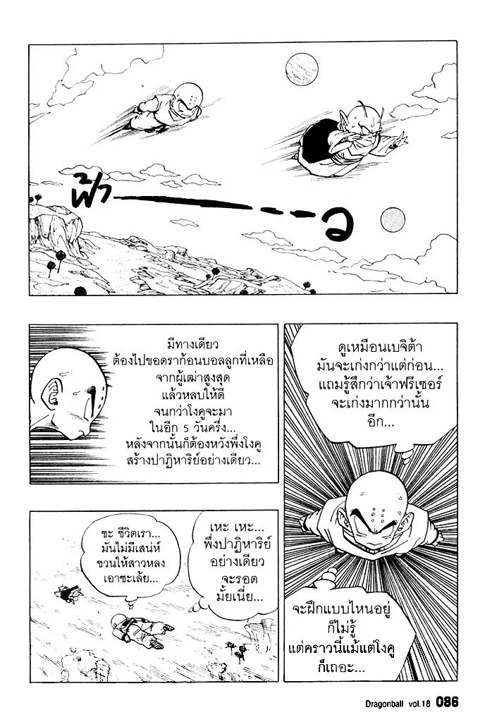 Dragon Ball - หน้า 11