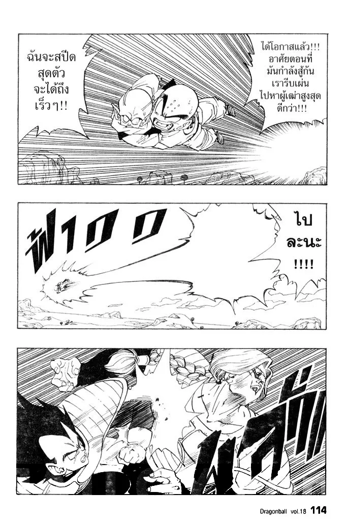 Dragon Ball - หน้า 11