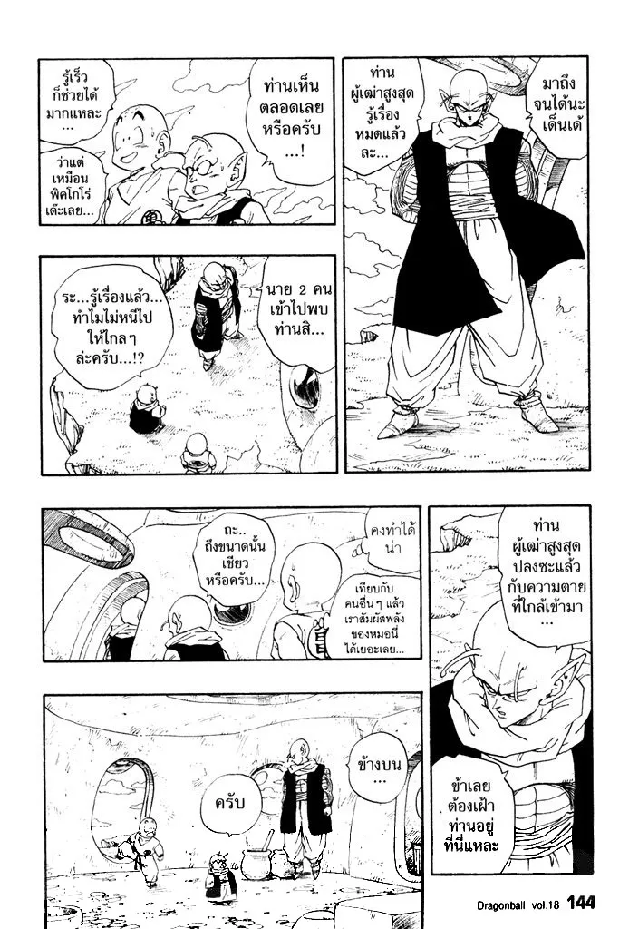 Dragon Ball - หน้า 13