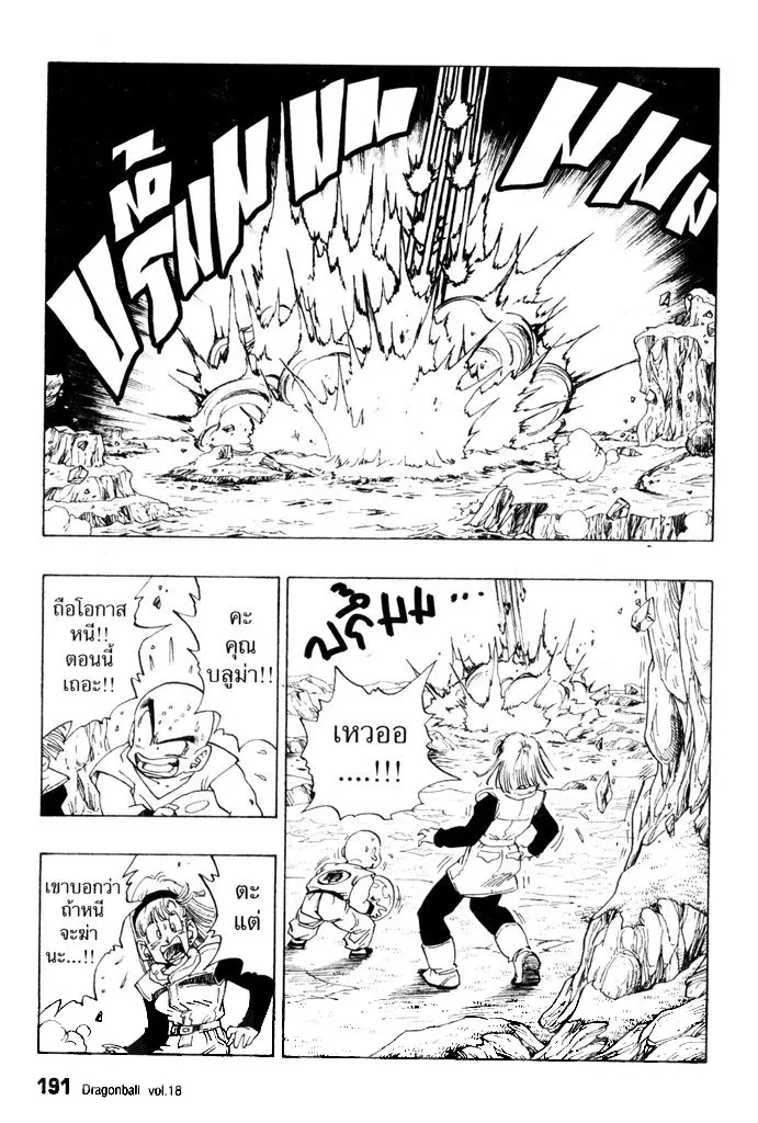 Dragon Ball - หน้า 4