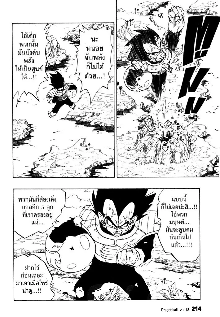 Dragon Ball - หน้า 13