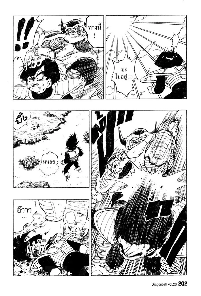 Dragon Ball - หน้า 13