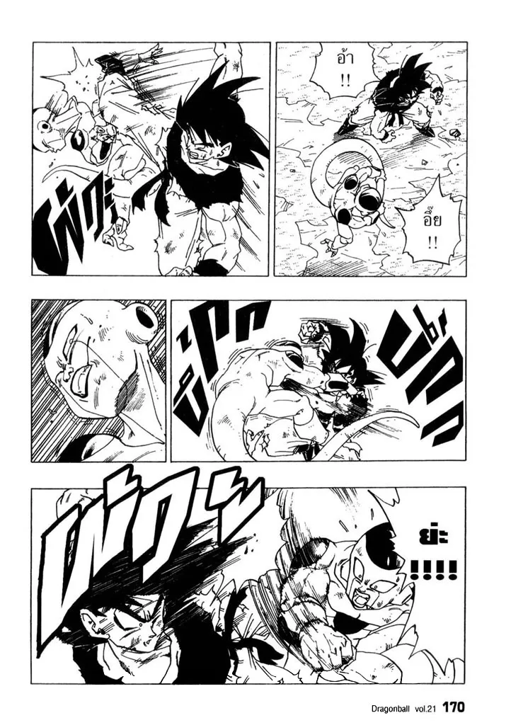 Dragon Ball - หน้า 13