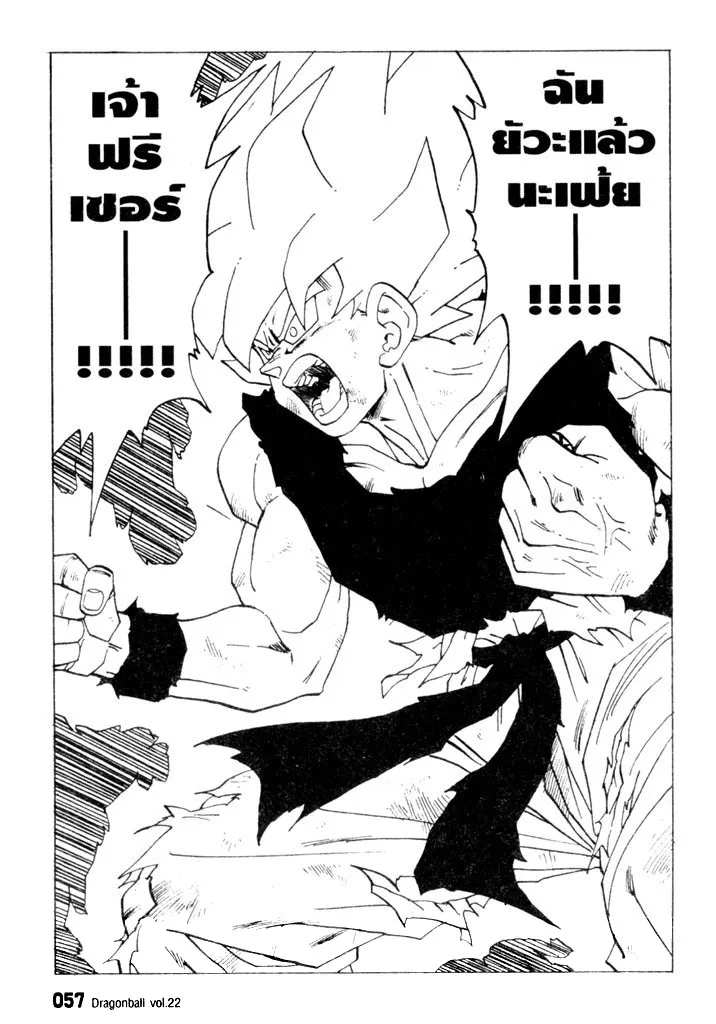 Dragon Ball - หน้า 6