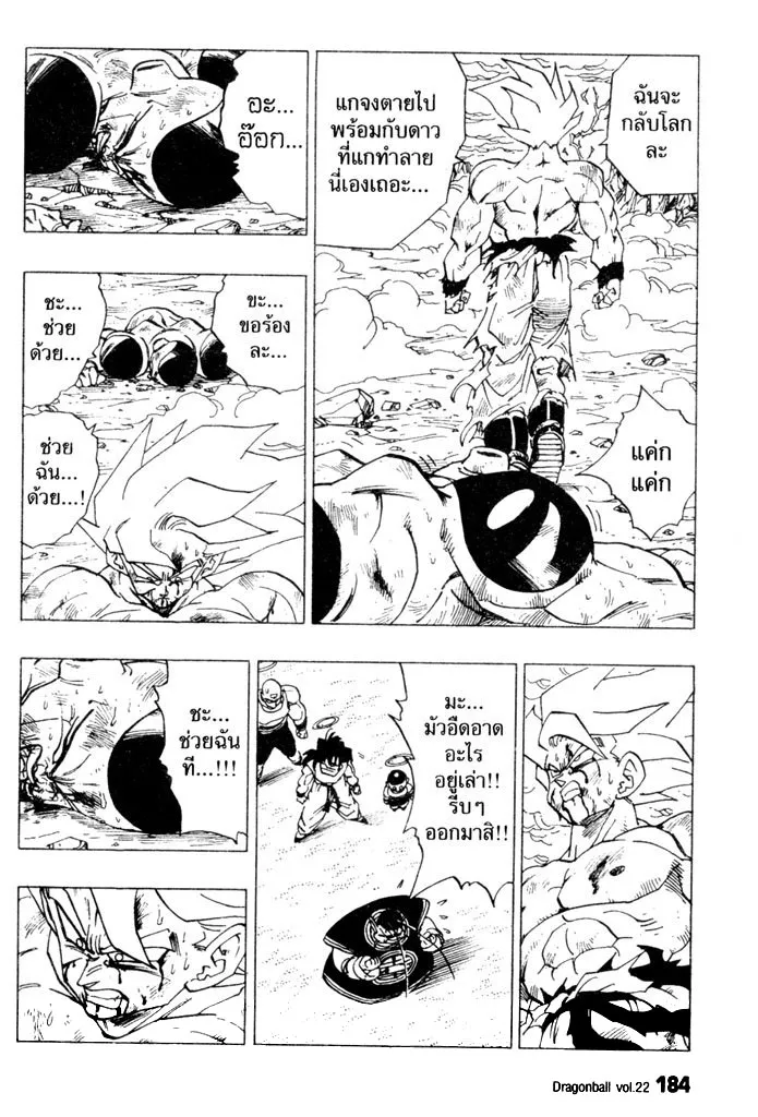 Dragon Ball - หน้า 13