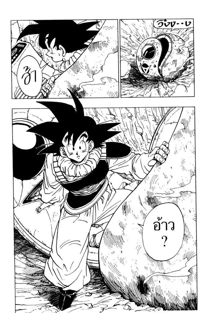 Dragon Ball - หน้า 13