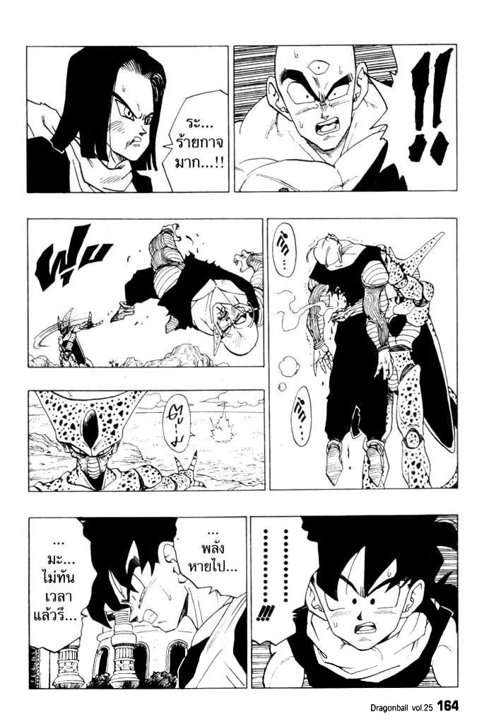 Dragon Ball - หน้า 13