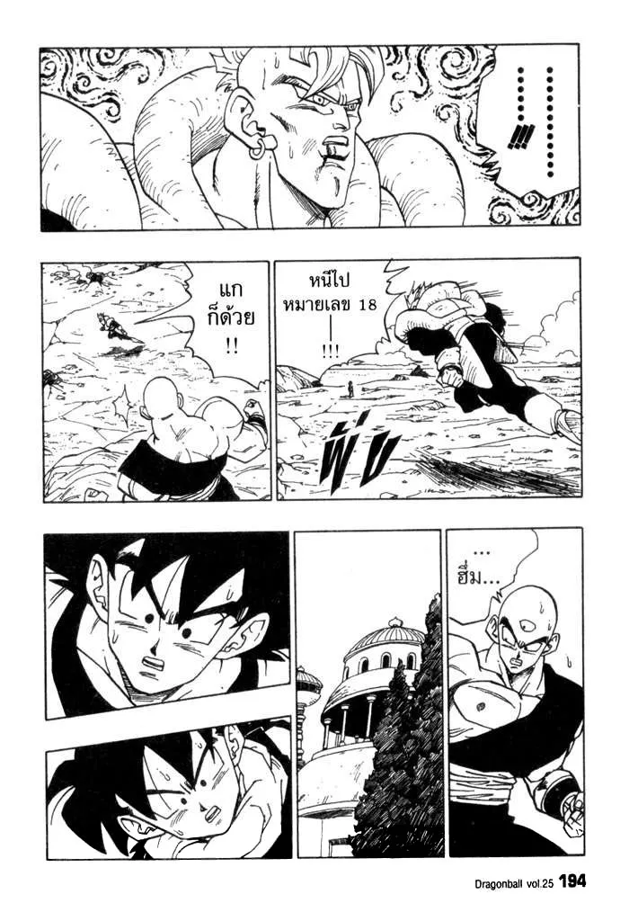 Dragon Ball - หน้า 13