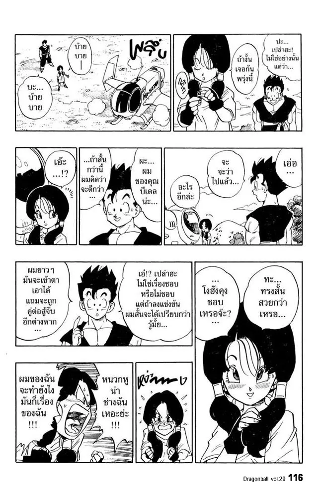 Dragon Ball - หน้า 13