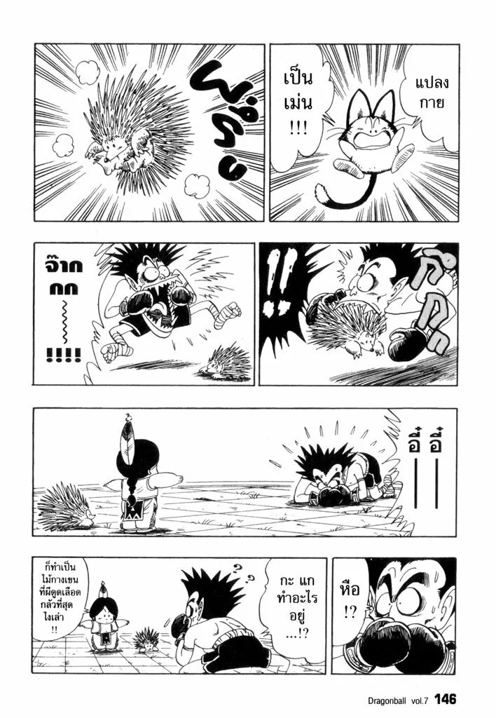 Dragon Ball - หน้า 13