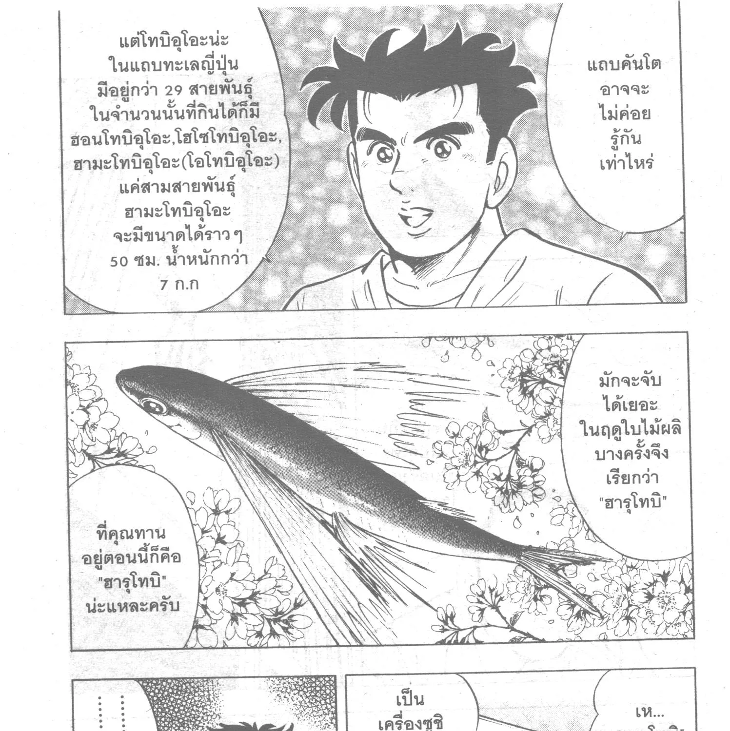 Edomae no Shun ไอ้หนุ่มซูชิ - หน้า 4