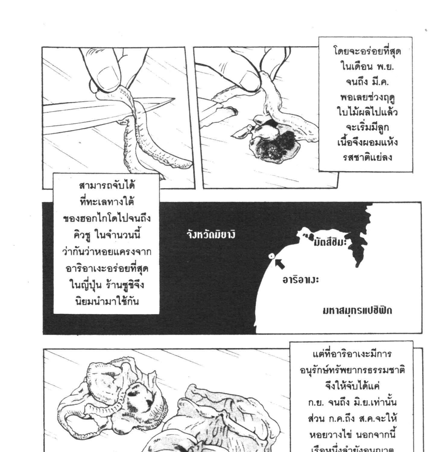 Edomae no Shun ไอ้หนุ่มซูชิ - หน้า 4