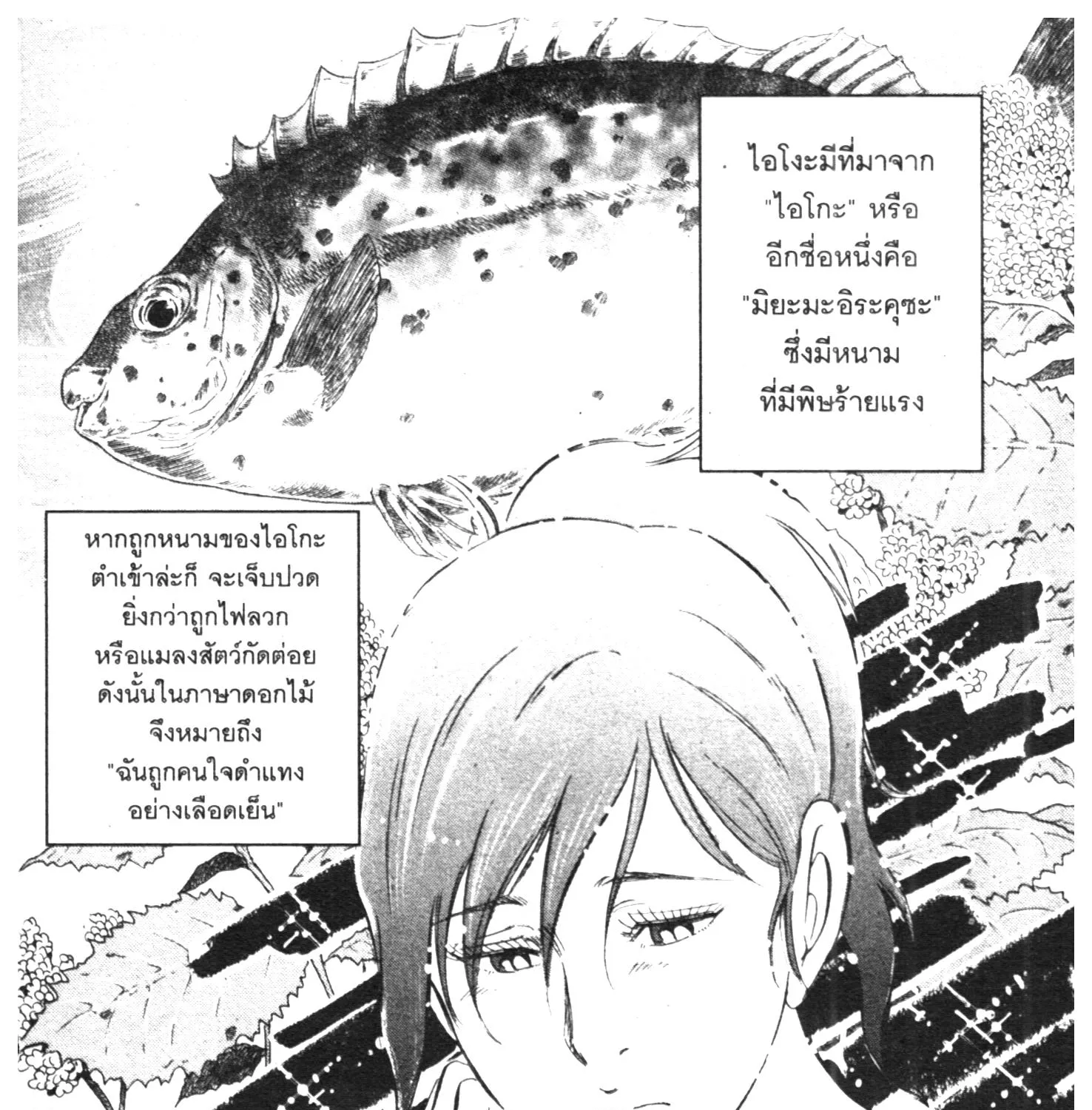 Edomae no Shun ไอ้หนุ่มซูชิ - หน้า 34