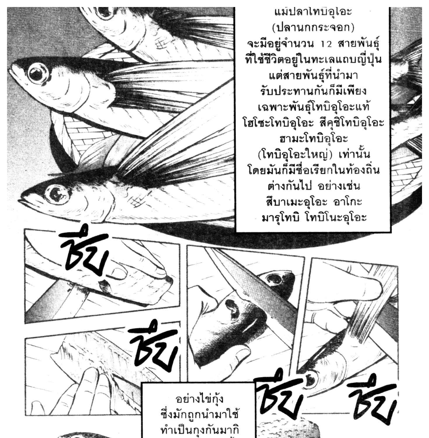 Edomae no Shun ไอ้หนุ่มซูชิ - หน้า 10