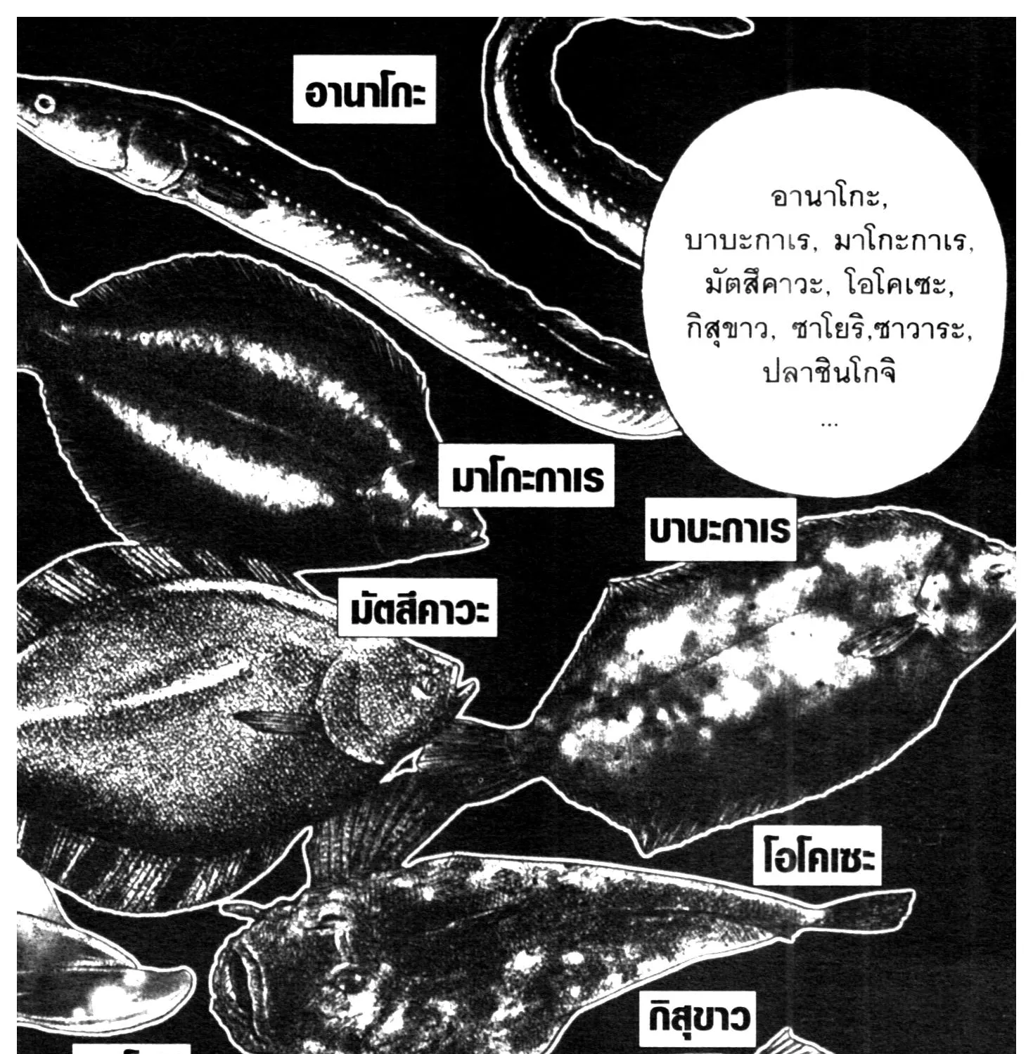 Edomae no Shun ไอ้หนุ่มซูชิ - หน้า 14