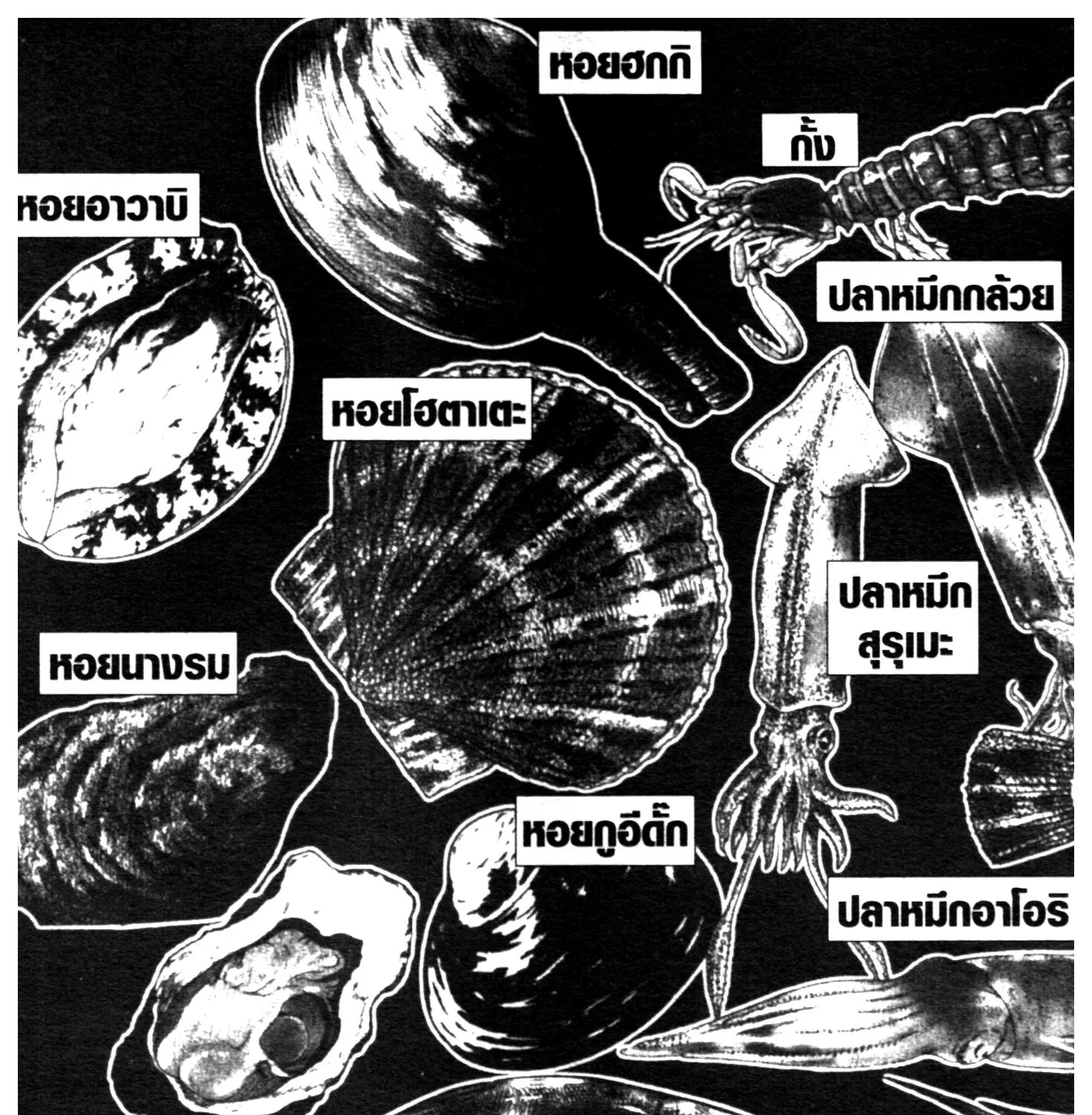 Edomae no Shun ไอ้หนุ่มซูชิ - หน้า 16