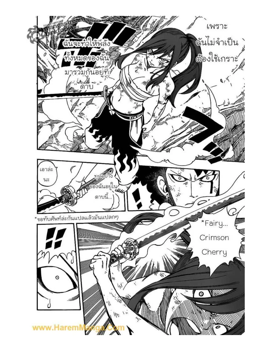 Fairy Tail - หน้า 13