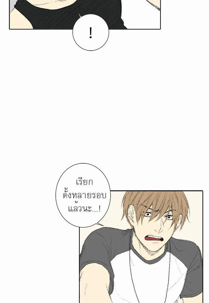 Friendship in the wound - หน้า 47