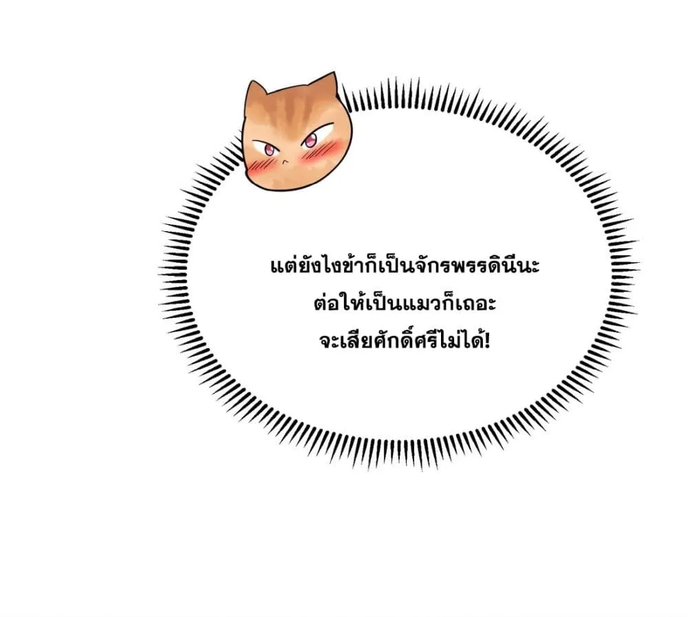 God-level Contract Start With a Cat - หน้า 16