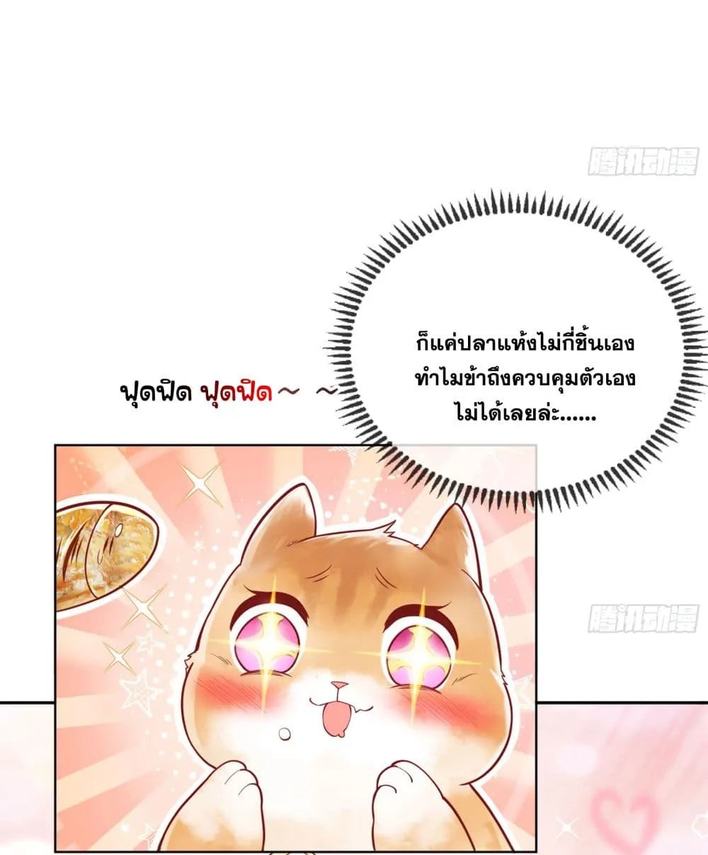 God-level Contract Start With a Cat - หน้า 36