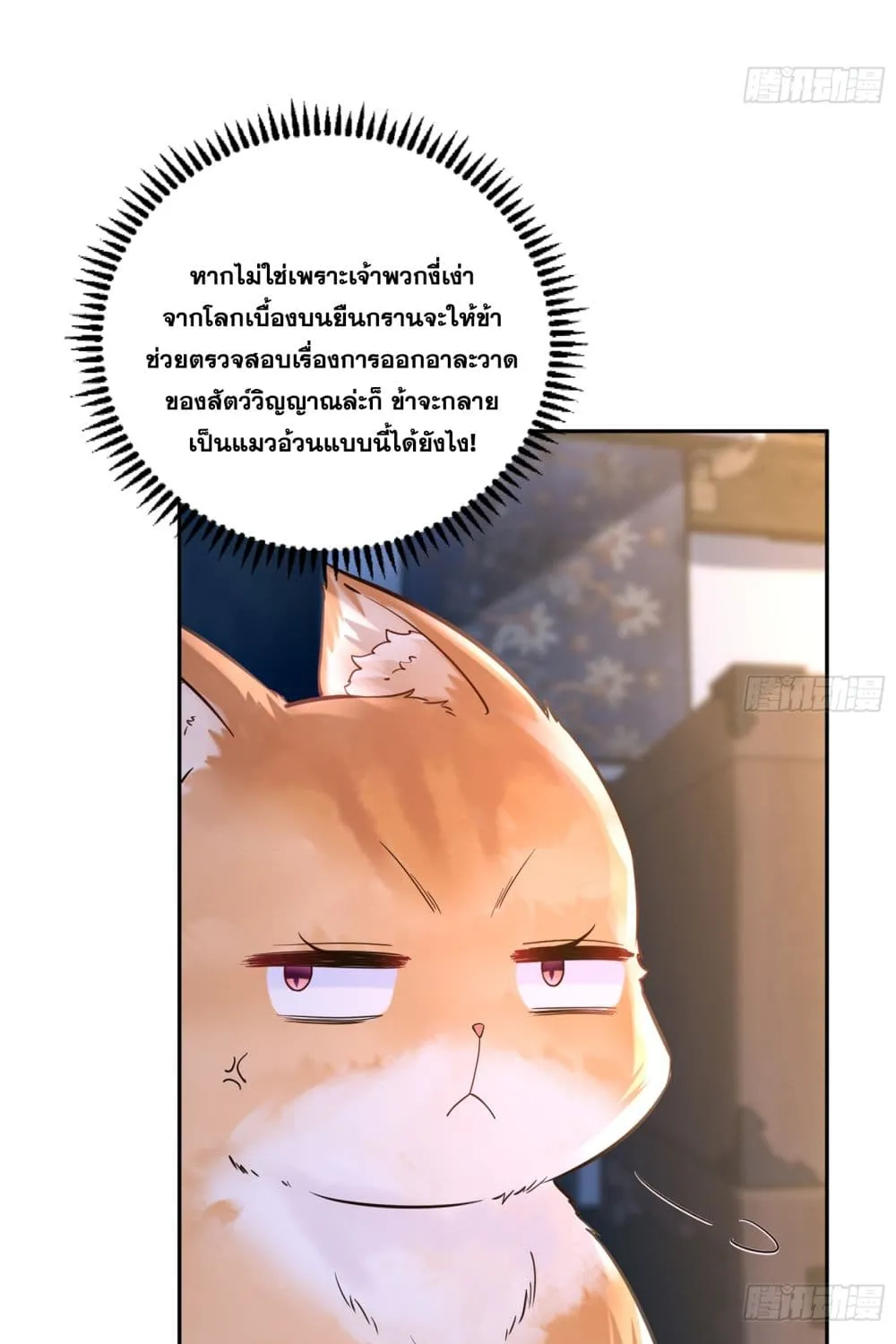 God-level Contract Start With a Cat - หน้า 44