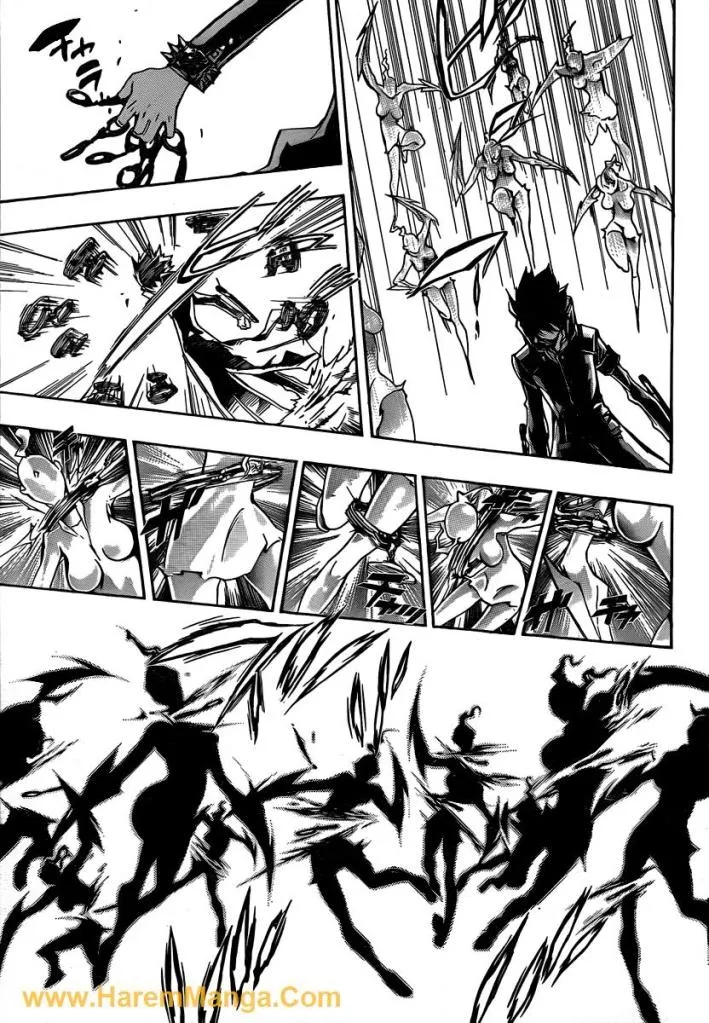 Katekyo Hitman Reborn! - หน้า 12