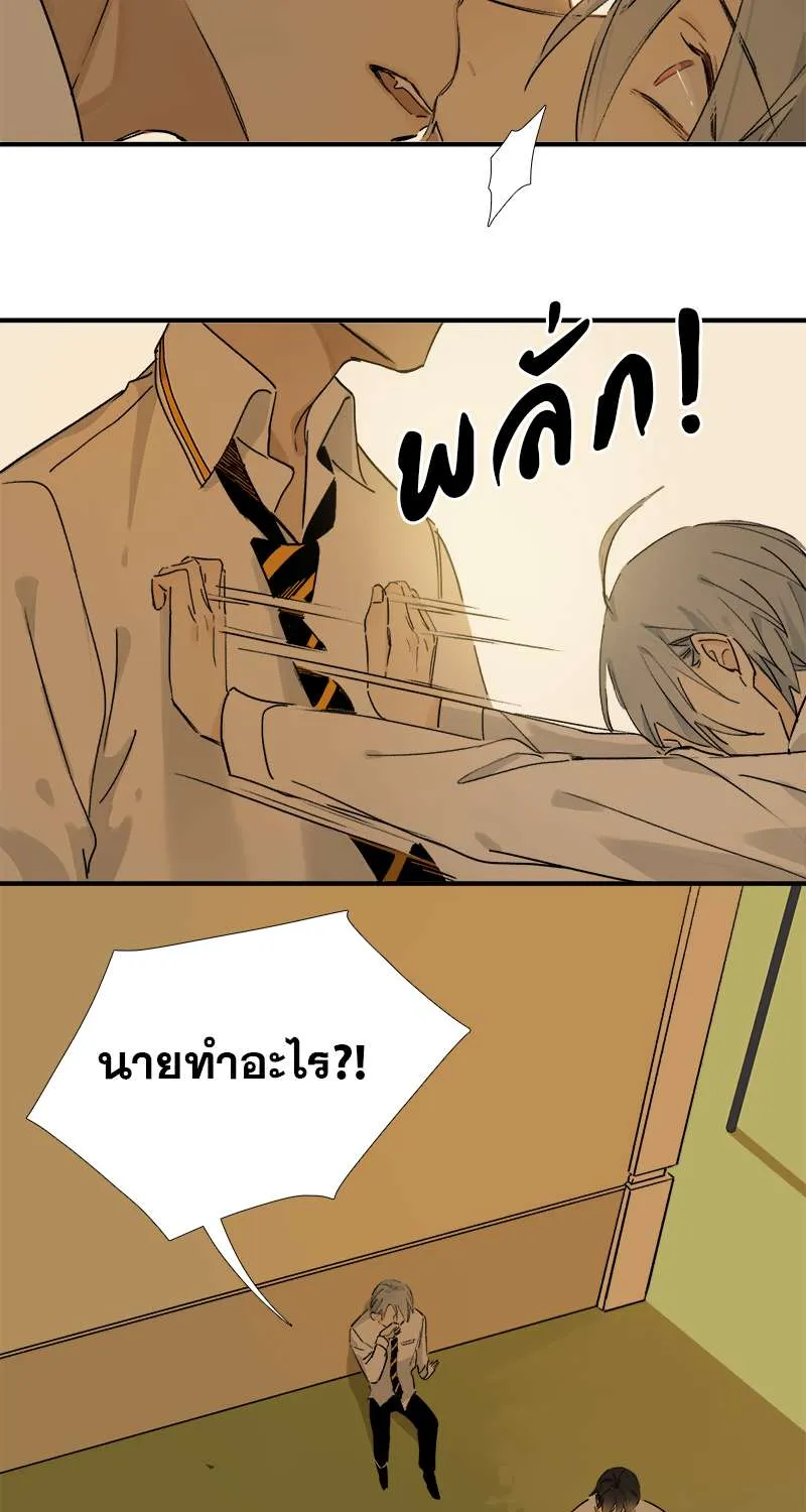 กฎรักแห่งออกัส - หน้า 3