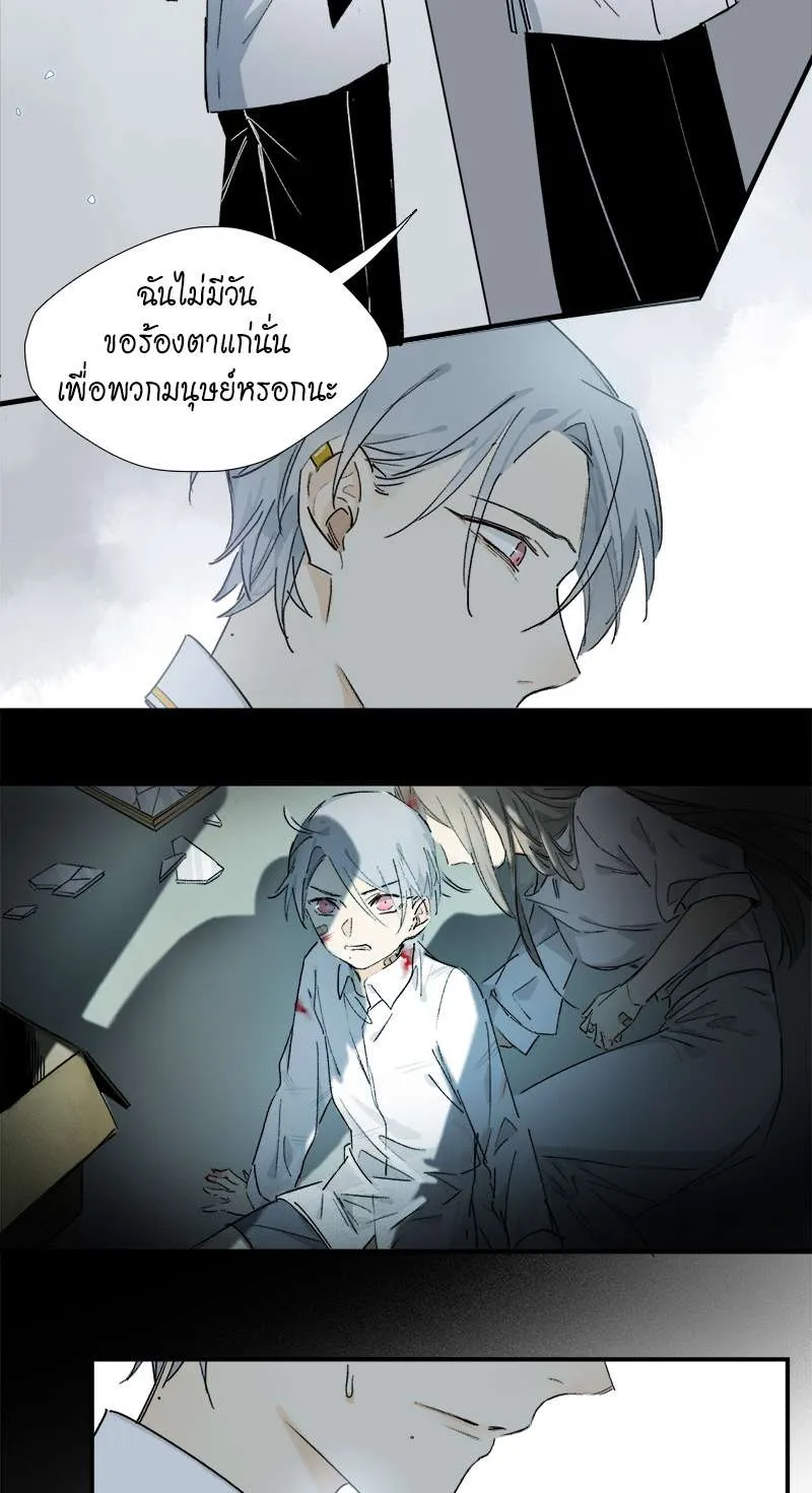 กฎรักแห่งออกัส - หน้า 26