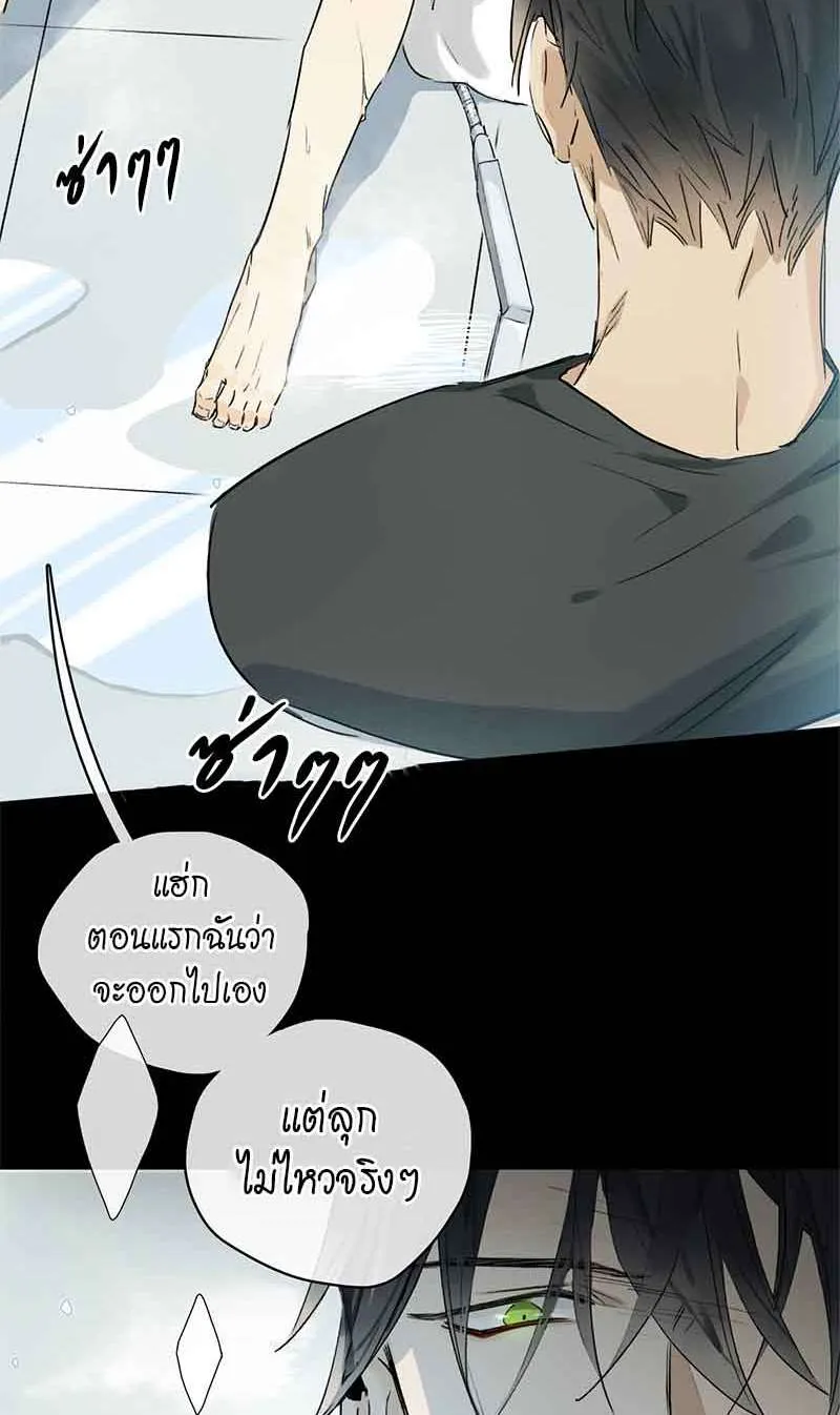 กฎรักแห่งออกัส - หน้า 1