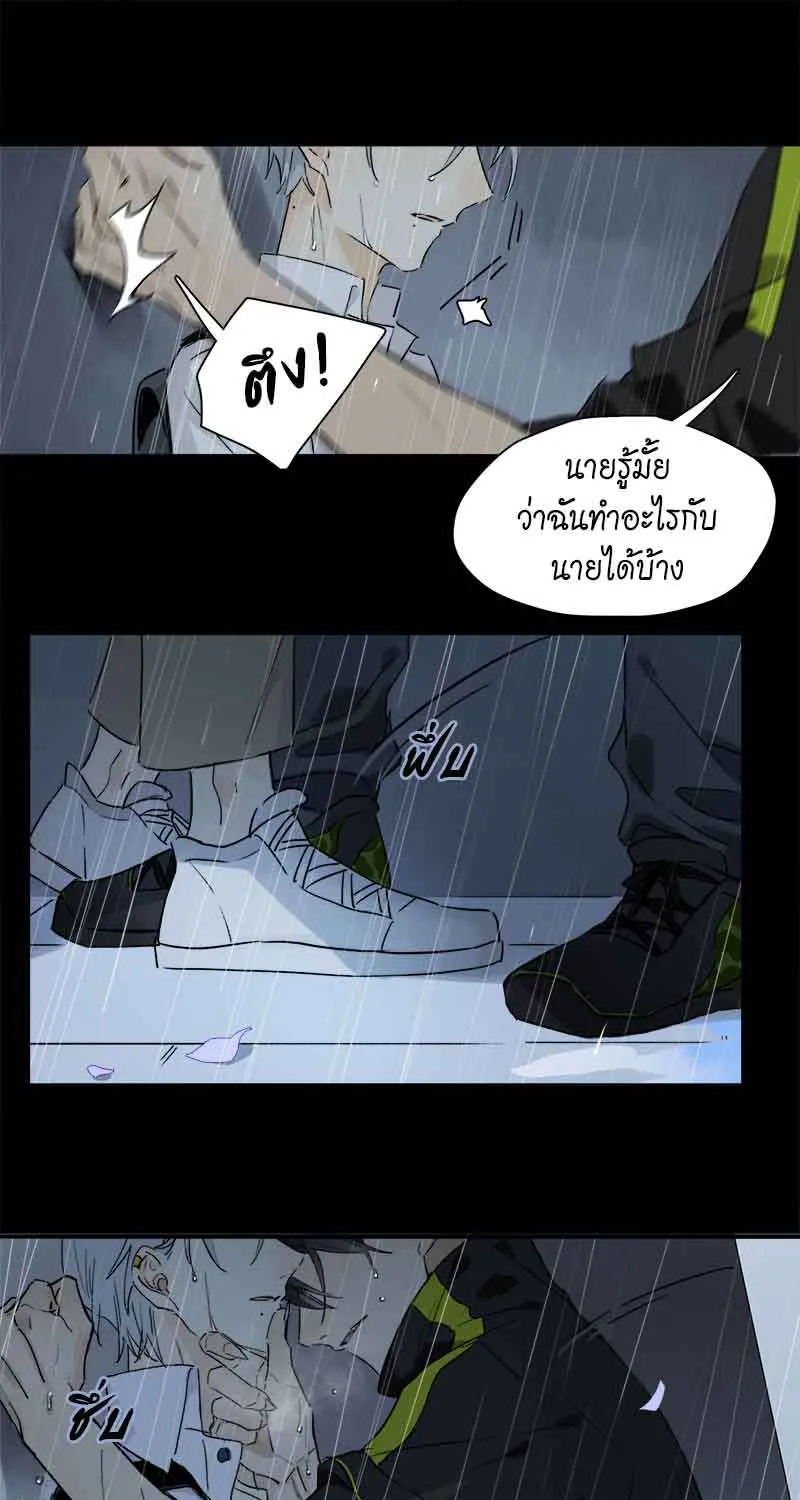 กฎรักแห่งออกัส - หน้า 20