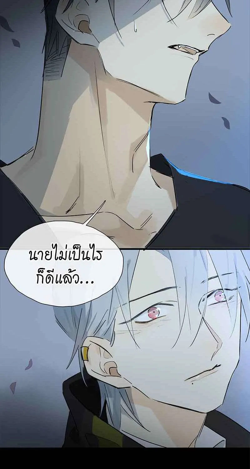 กฎรักแห่งออกัส - หน้า 43