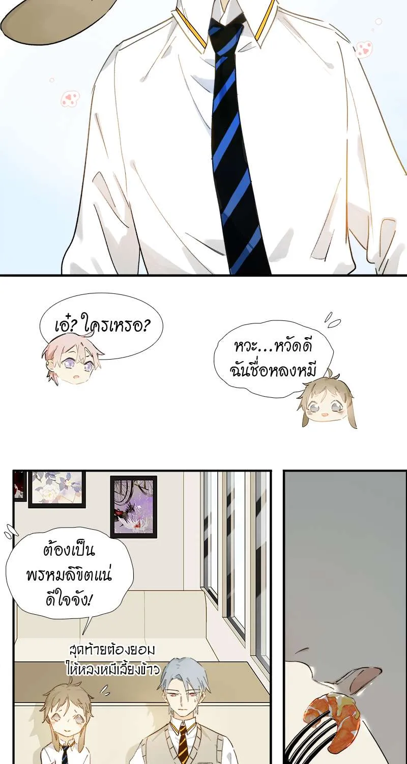 กฎรักแห่งออกัส - หน้า 21