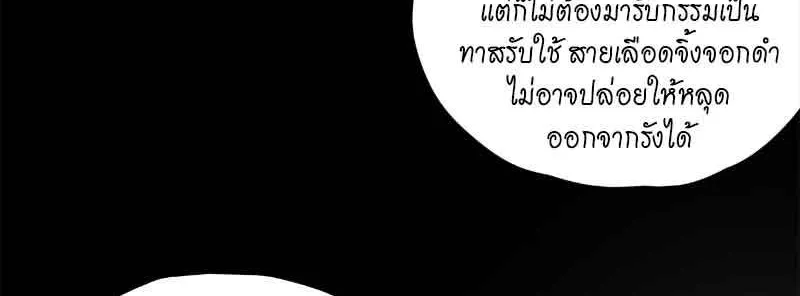 กฎรักแห่งออกัส - หน้า 1