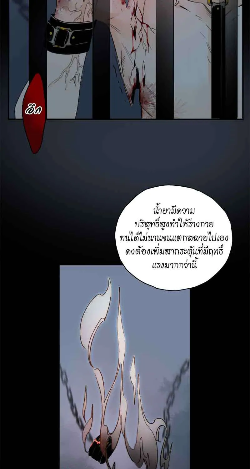 กฎรักแห่งออกัส - หน้า 54