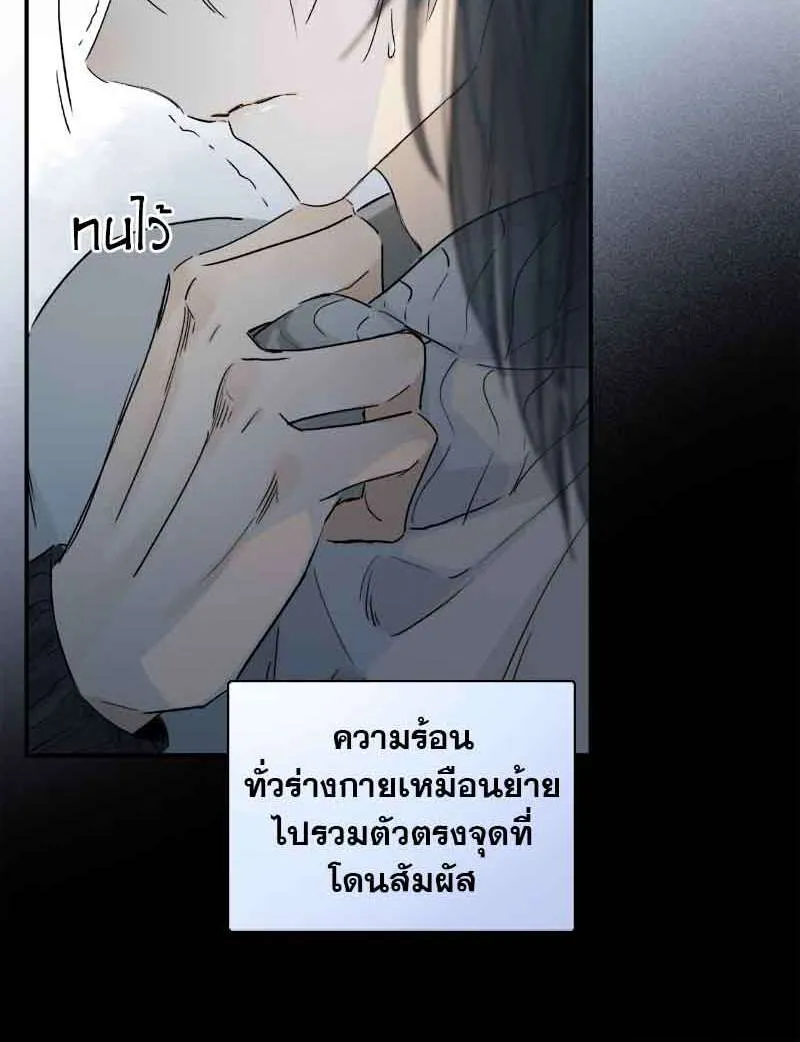 กฎรักแห่งออกัส - หน้า 27