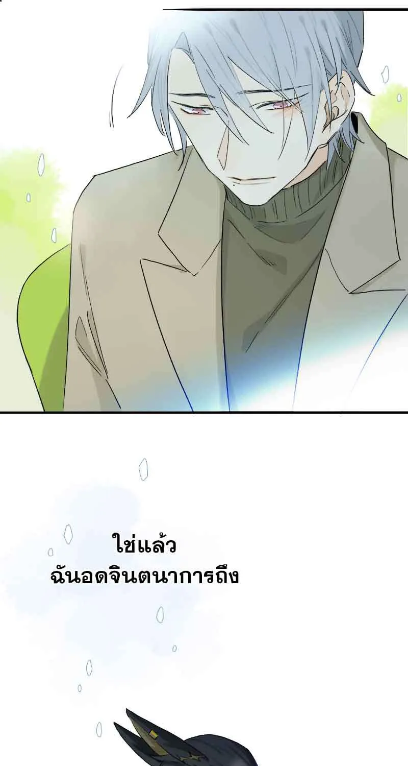 กฎรักแห่งออกัส - หน้า 37