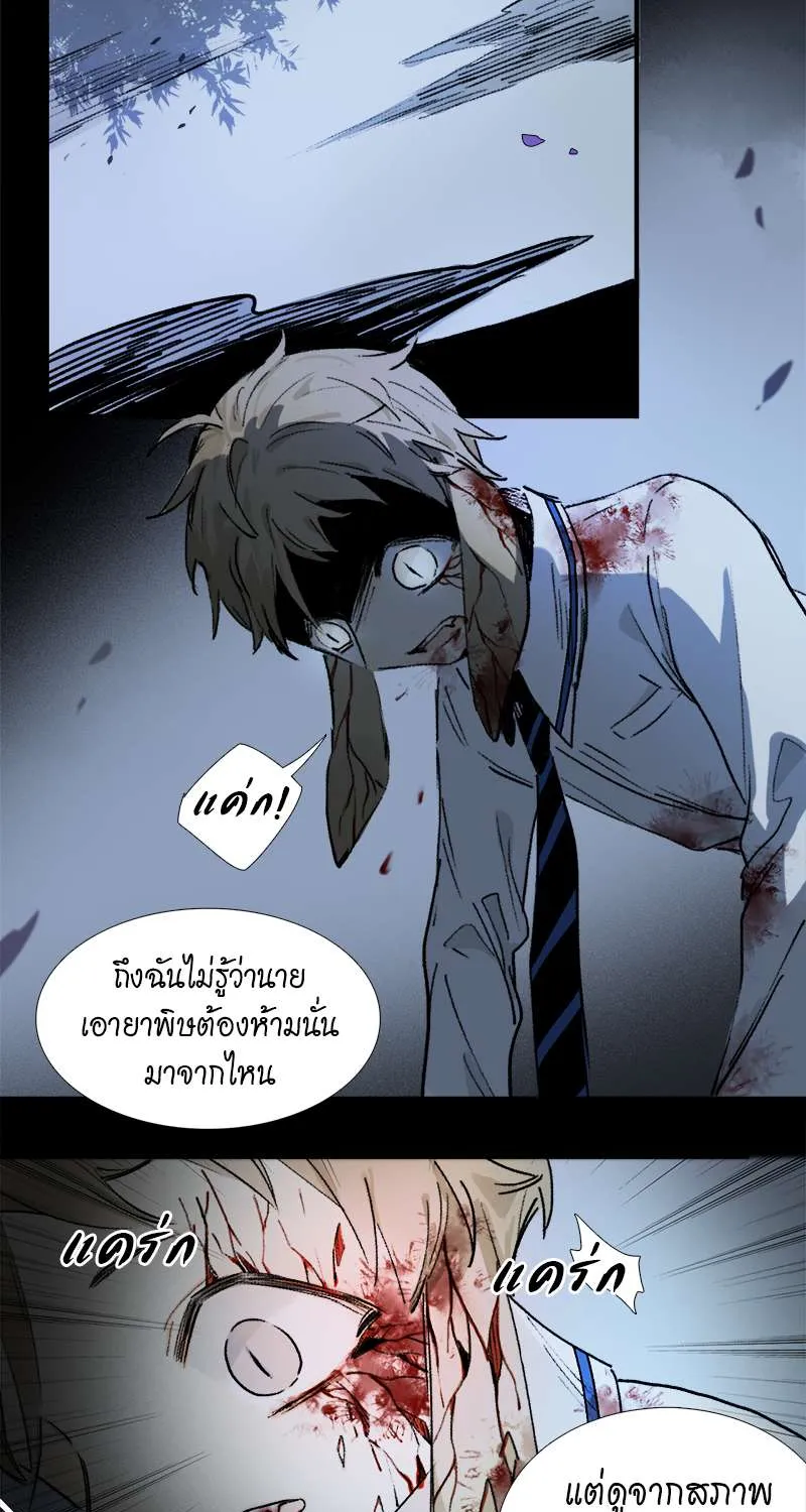 กฎรักแห่งออกัส - หน้า 27