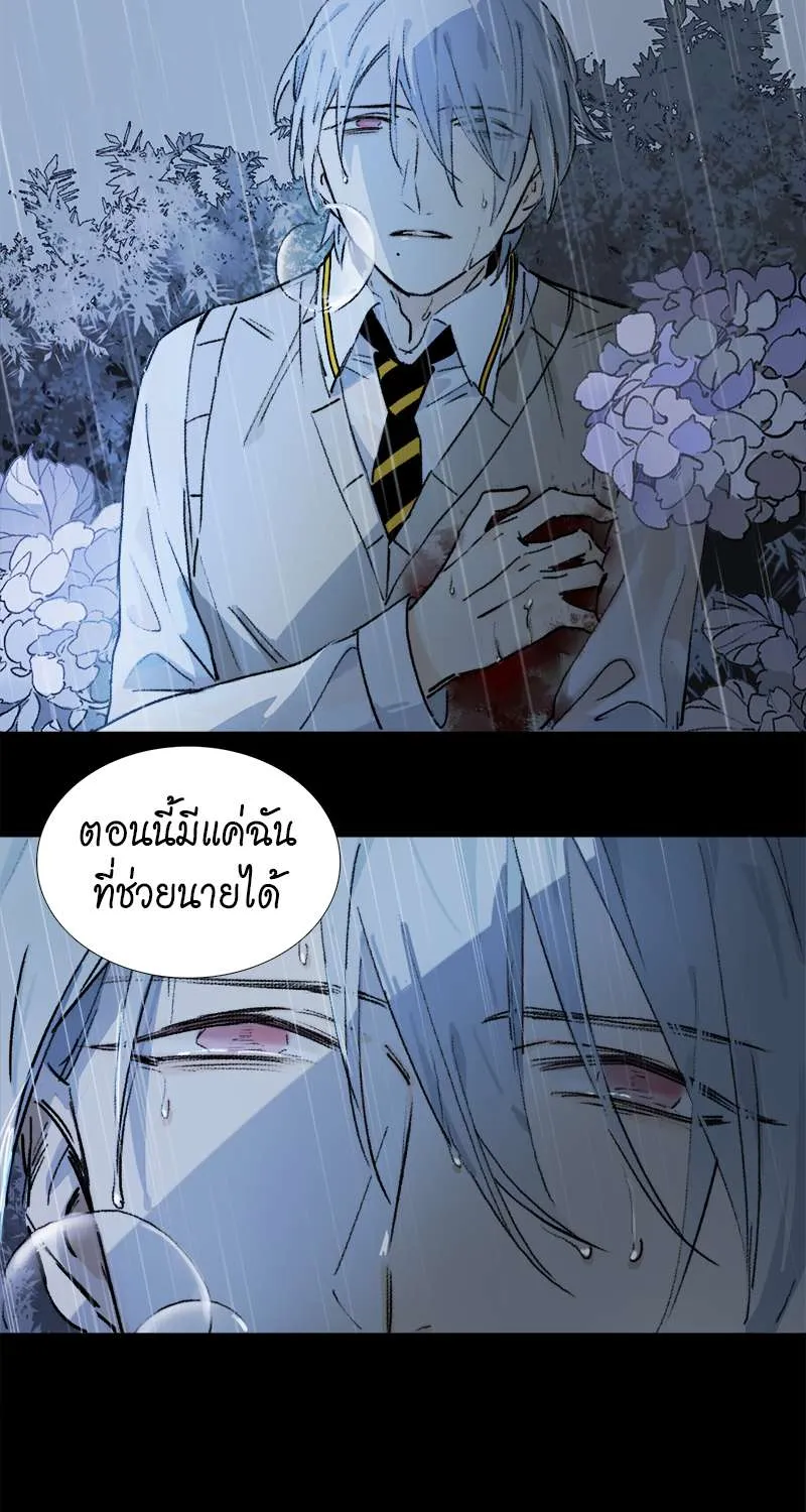 กฎรักแห่งออกัส - หน้า 57