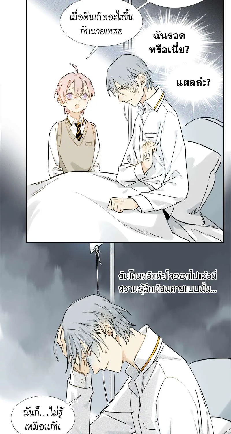 กฎรักแห่งออกัส - หน้า 19