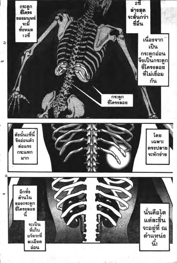 Kentou Ankokuden Cestvs - หน้า 28