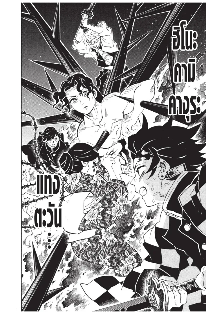 Kimetsu no Yaiba - หน้า 13