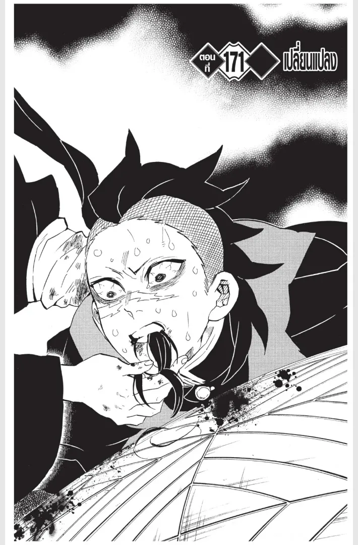 Kimetsu no Yaiba - หน้า 23