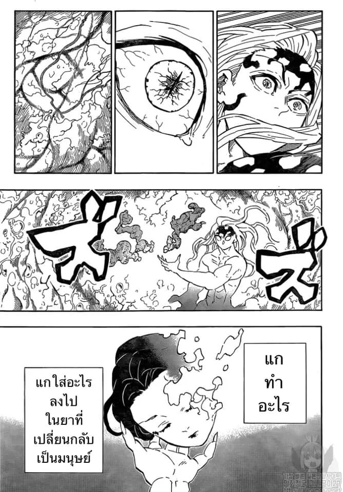 Kimetsu no Yaiba - หน้า 12